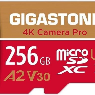 Gigastone 256GB Micro SD Card Review: 4K Camera Pro